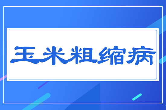 ���״ֿs��