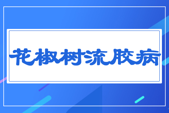 花椒樹(shù)流膠病