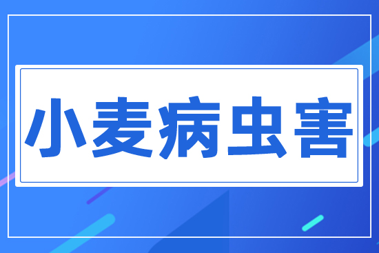 С�����x��