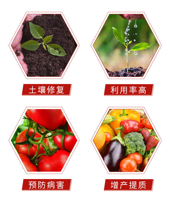 黃腐酸型植物增產(chǎn)素-根和諧-大化肥業(yè)_05