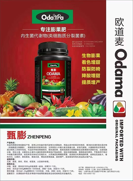 未標題-1