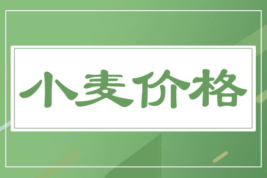 新麥開(kāi)秤價(jià)，一斤多少錢(qián)？5月19日小麥價(jià)格行情