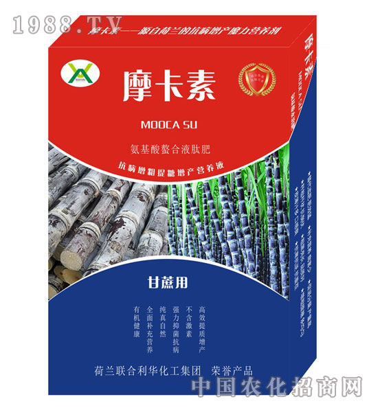 ጣ(zhun)ðҺķ-Ħ-(qing)о(gu)H