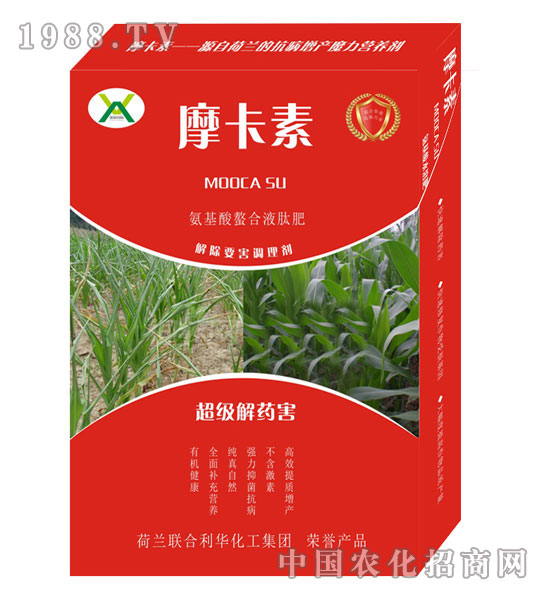 ������ˎ������������Һ�ķ�-Ħ����-��(qi��ng)о���H