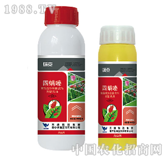 20%���������-����-���{