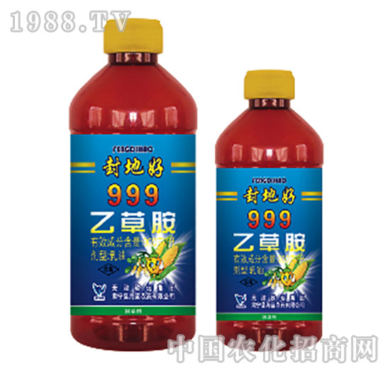 999�Ҳݰ�-��غ�-���{