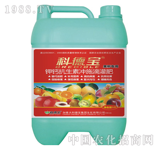 ���䌣�ð�����������_ʩ�ι��-�Ƶ�