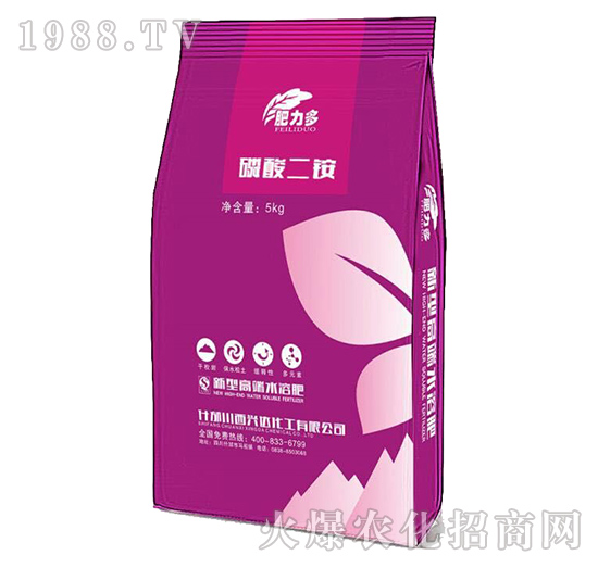 ������@-������-�d�_(d��)����