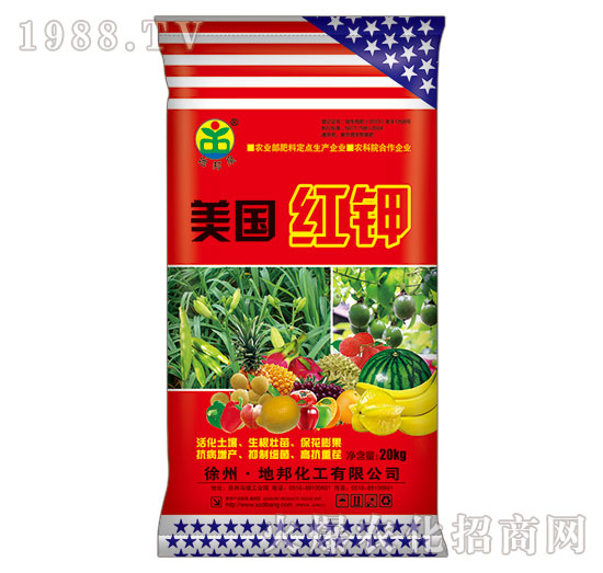 �����t�-�ذ�Ȫ