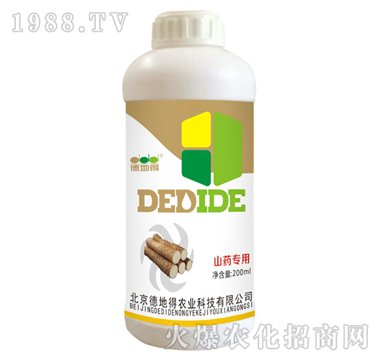 ɽˎ����-�µص�