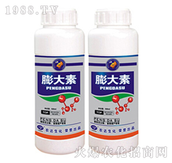 �����-�r(n��ng)�_����