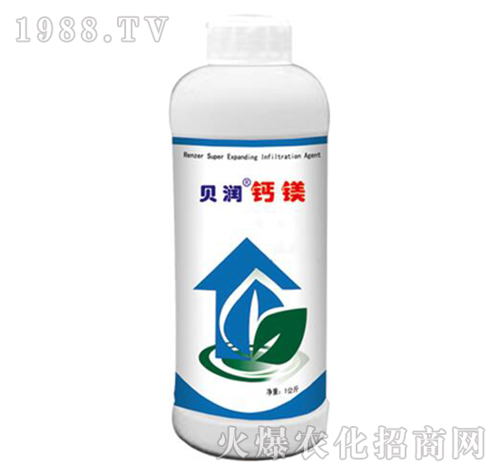 ؐ���}�V-ɭ��