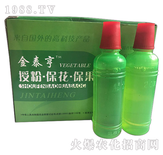 ��̩��-�ڷ۱���������