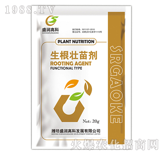 �������焩-ʢ���߿�