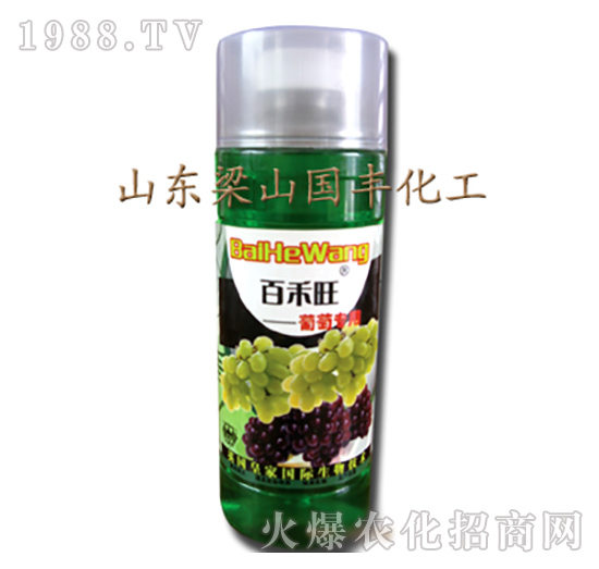 ���ь����~���-��ɽ���S