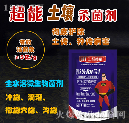 ����������������������-�FѪ��-�~�S�ѳ�����