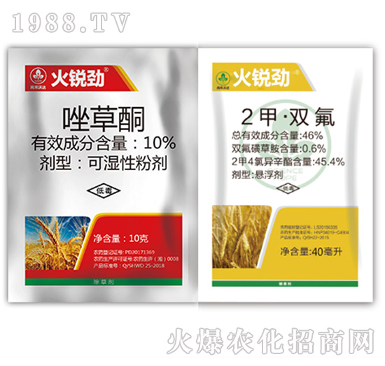 ���J�ŽM��-�к����_(d��)