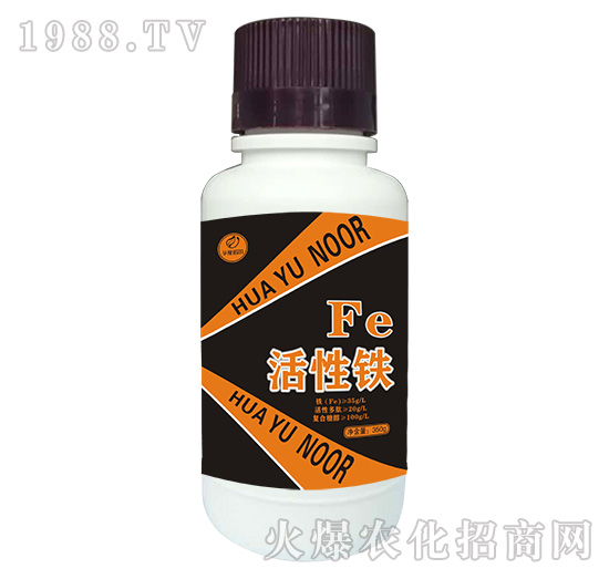 �����F-�Z��