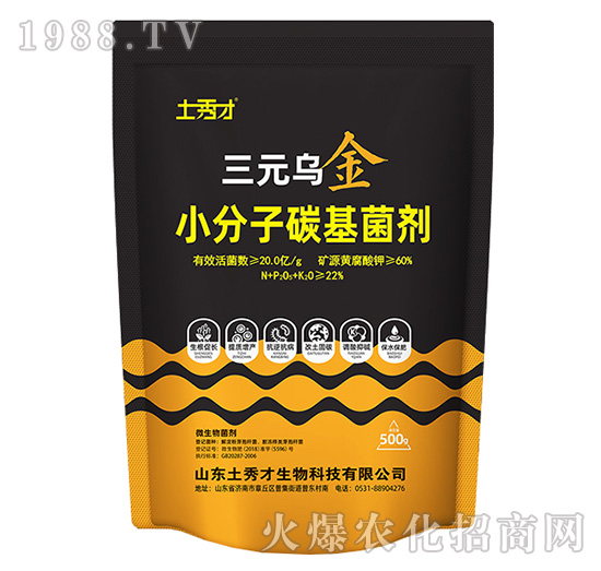 С����̼������-��Ԫ����-�����