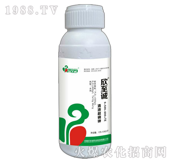 Һ-0-500-600+TE-\(chng)