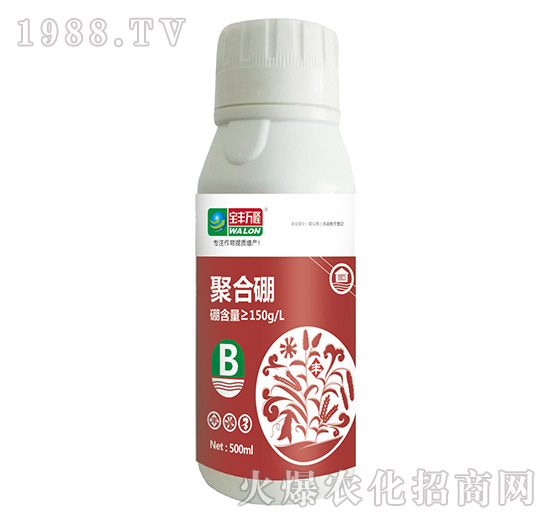 �ۺ���-���S�f¡