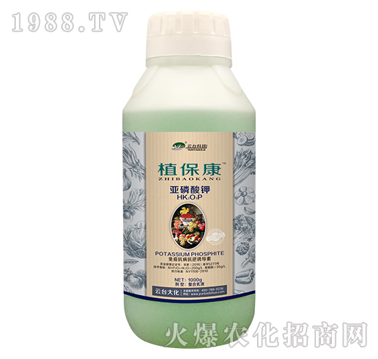 1000gֲ����-���_(t��i)��