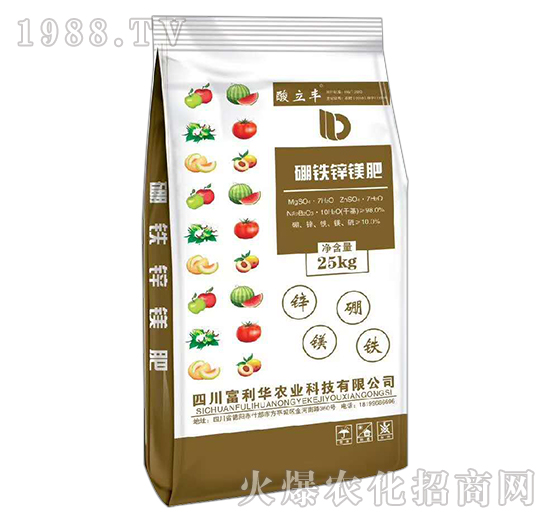 ���F�\�V��-�����S-�����A