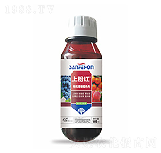 ЙCɫ-Ϸۼt-Ƽ