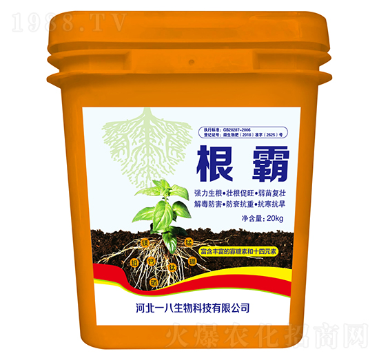 ����-һ������