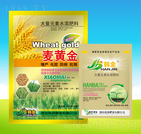 ���S��-�n��ʘI(y��)