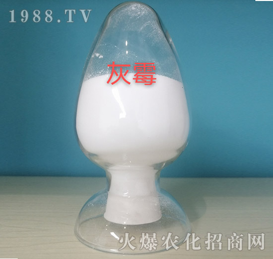 ù(zhun)ԭ-o(c)r(nng)I(y)