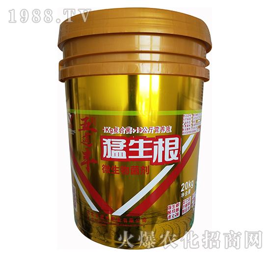 ΢�������-������-����S