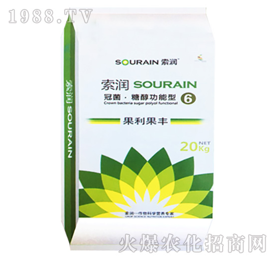 �ھ����Ǵ������͹������S-����(r��n)6̖(h��o)-����