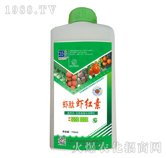 �r���r�t���~���-��̩����