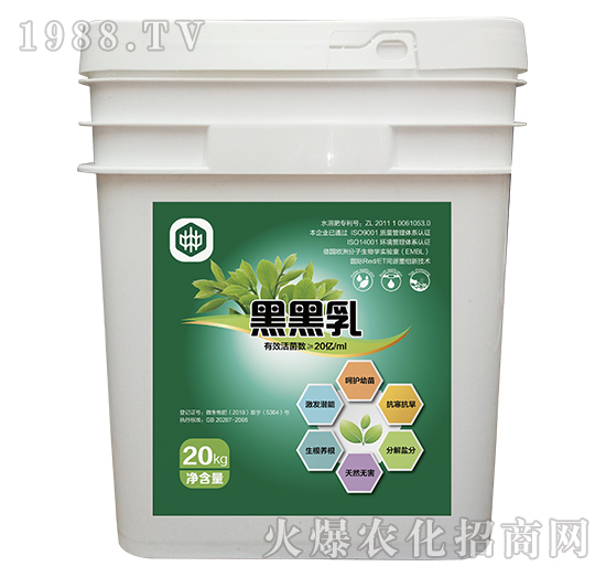 �ں���-��ֲ(li��n)��