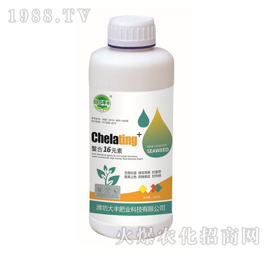 ����16Ԫ��-��@���S-���S�ʘI(y��)