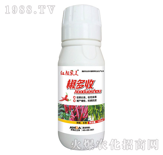 ������-�t���-��ķ�_(d��)