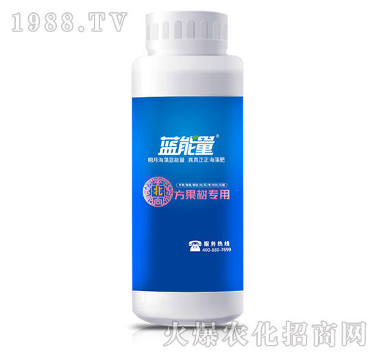 �����䌣��-�����n�����{��-�{����