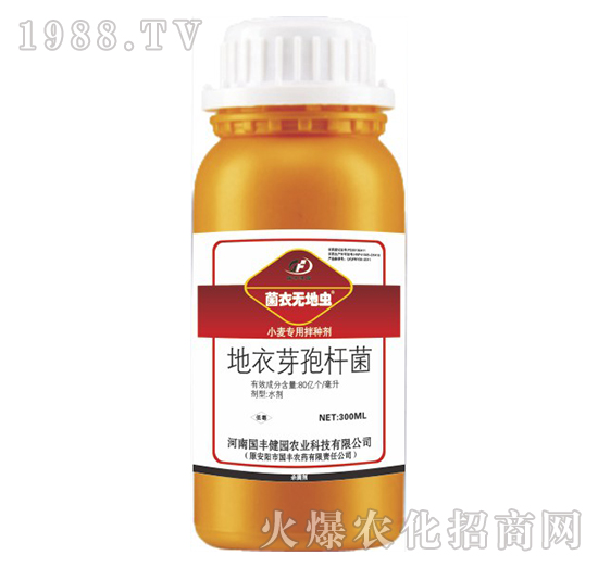 С�����ð�N��-���o���x-���S���@