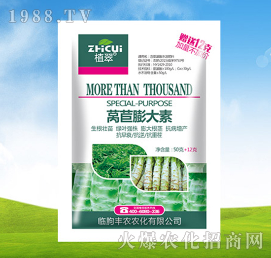 萵苣膨大素-植翠-豐農(nóng)農(nóng)化