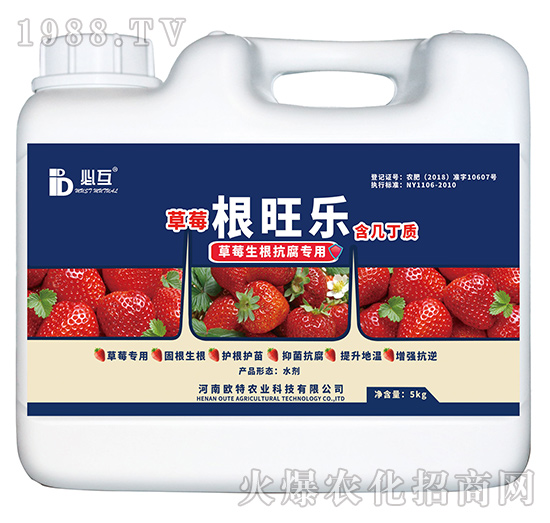 草莓生根抗腐專用肥-根旺樂-歐特農業(yè)