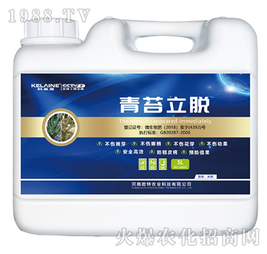 ��̦��Ó-���R��-�W���r�I(y��)