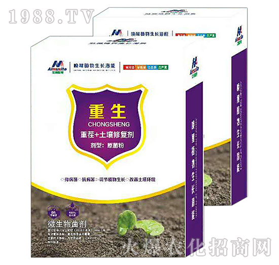 �ز�+�����ޏ�(f��)��-����-��ķ˹��