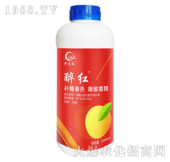 ���t-����t