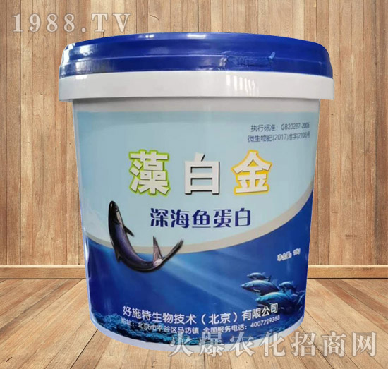 ��~����-��׽�-��ʩ��