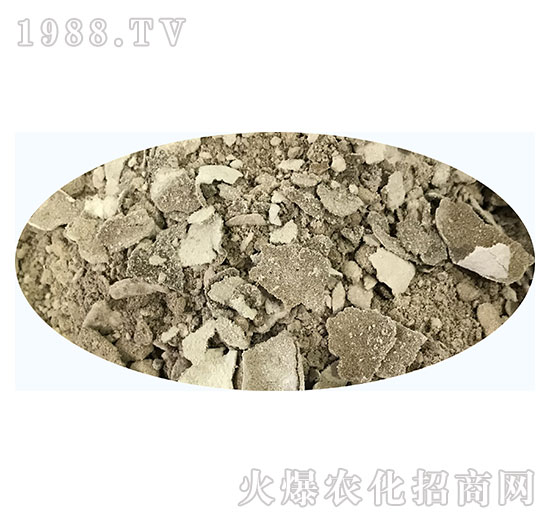 �ͺϾ����-�쌚