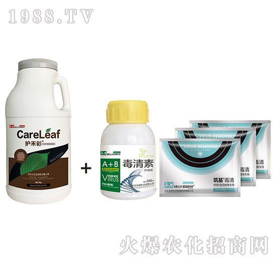 �o�̲�+����M��-���������η���-������A