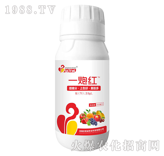 һ�ڼt-�����\(ch��ng)