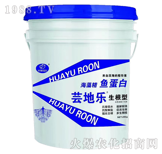 �����ͺ��徫�~����-�|�ؘ�-�Z��