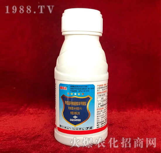 5%�װ������S���ر������}-�����_-���_�r(n��ng)ˎ